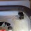 #24567-•-unused-gas-powered-post-driver-image-6