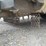 #24443-•-landpride-15ft-rotary-cutter-image-47