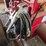 #24310-•-lincoln-sa-200-welder-image-18