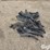 case-ih-planter-seed-tubes-w/-sensor-image-8