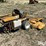 1998-walker-mtsd-image-5