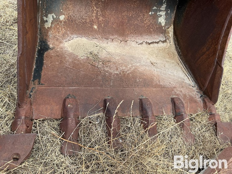 caterpillar-36-image-9