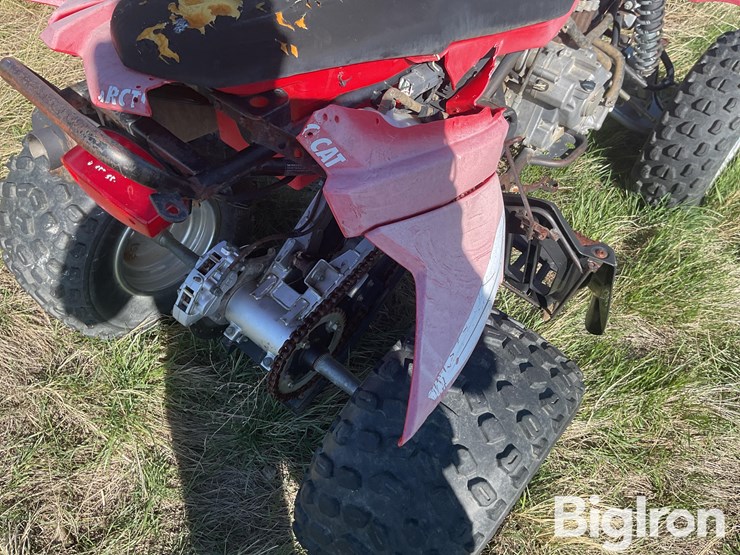 2006-arctic-cat-250-image-19