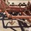 krause-4336a-image-13