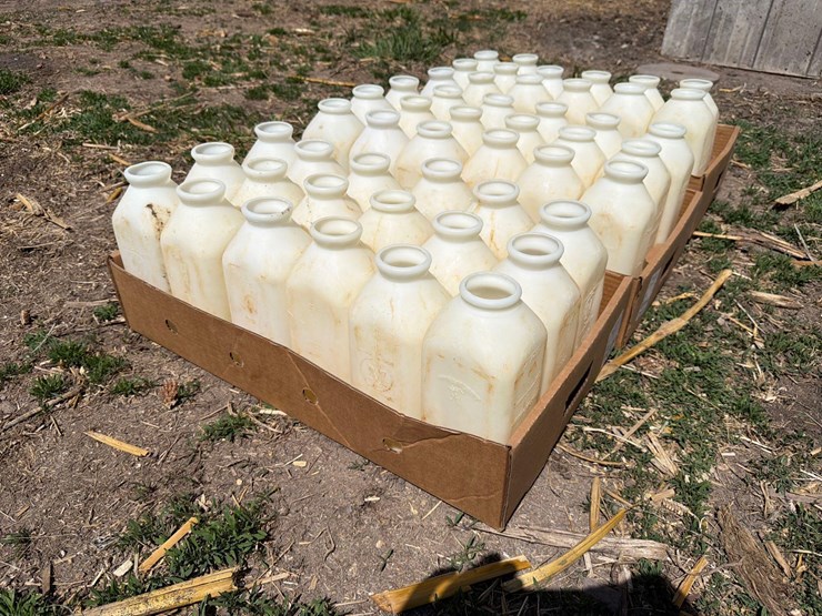 50-2-quart-calf-bottles-image-4
