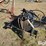 bison-nvhl300xhd-image-19