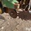 john-deere-7100-image-16