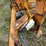 2009-king-trail-image-8