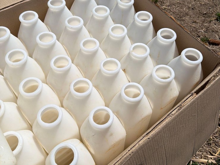 53--3-quart-calf-bottles-image-6