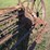 new-idea-4-image-13