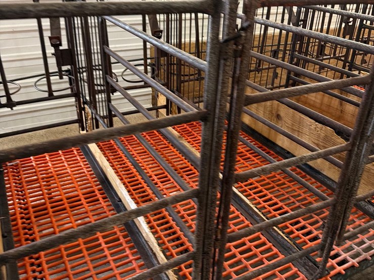 52-metal-calf-crates-image-9