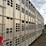 2008-wilson-livestock-trailer-image-25