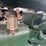fordson-f-image-21