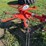 kuhn-gf222t-image-18