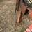 2007-krause-5200f-36-image-12