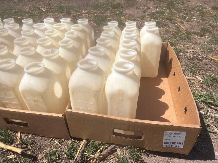 50-2-quart-calf-bottles-image-5
