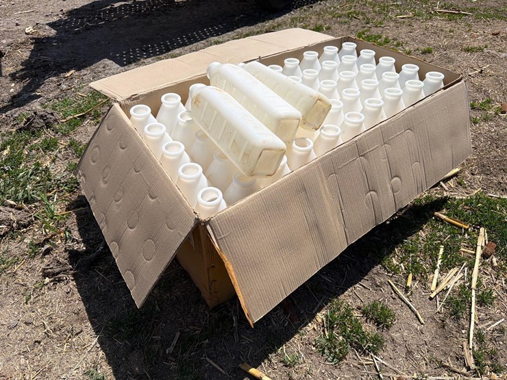 53--3-quart-calf-bottles-image-1