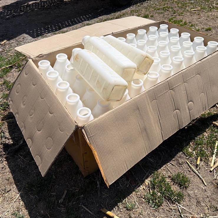 53--3 Quart Calf Bottles