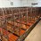 52-metal-calf-crates-image-22