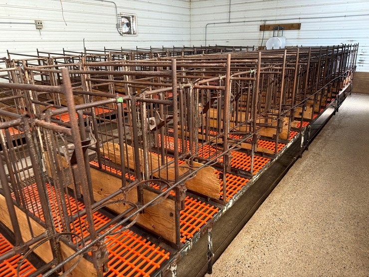 52-metal-calf-crates-image-22