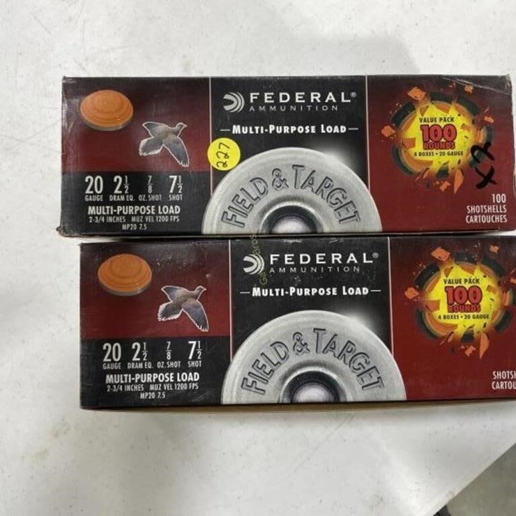 200 Rounds Federal 20ga Ammo