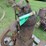 antique-engine-image-3