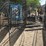 #5126-•-set-of-gates-with-tree-design-image-1