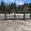 20'-freestanding-livestock-panels-image-2