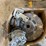 (incomplete)-detroit-series-60-motor-w/-alternator,-and-clutch-image-3
