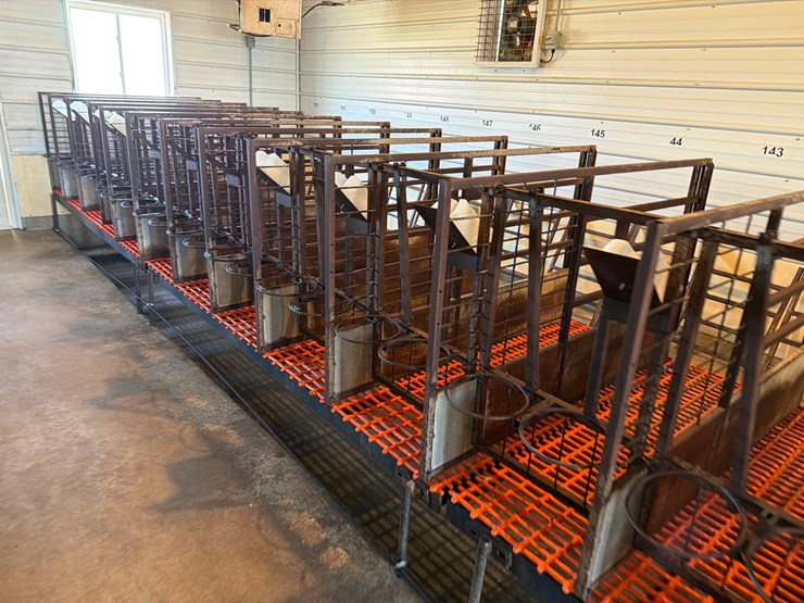 50-metal-calf-crates-image-5