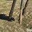 kent-series-iv-image-16