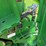 2017-john-deere-459-image-37