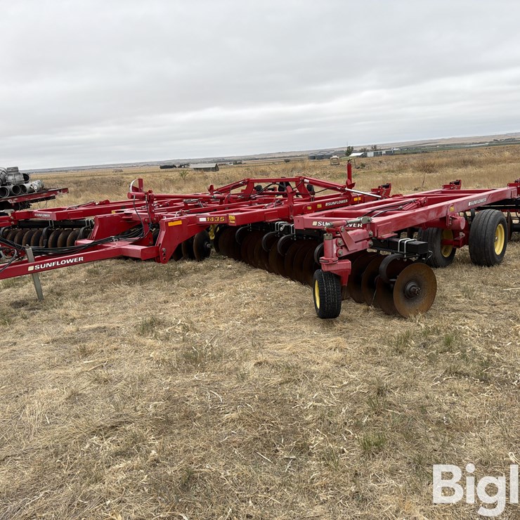 2013 SUNFLOWER 1435
