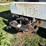 tyler-10-ton-fertilizer-spreader-image-27
