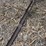 brillion-crowfoot-cultipacker-image-2