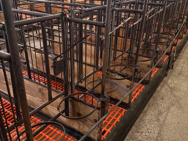 52-metal-calf-crates-image-16