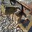 #22948-•-tailgate-salt-spreader-image-13