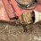 rhino-fs20-image-17
