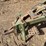 john-deere-250-image-7