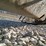 #22948-•-tailgate-salt-spreader-image-14