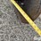 sunflower-3651-25-image-14