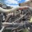 1996-mack-rd688c-cement-truck-image-51