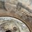 whiteman-wbh-10-concrete-buggy-image-14
