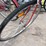#9014-•-schwinn-(o3)-image-8