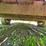 #24322-•-12'-flatbed-trailer-image-20