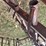 noble-7-section-harrow-image-10