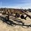 h-&-s-wheel-rake-589-image-4