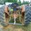 massey-ferguson-to35-image-4