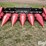 2010-drago-n6-image-2