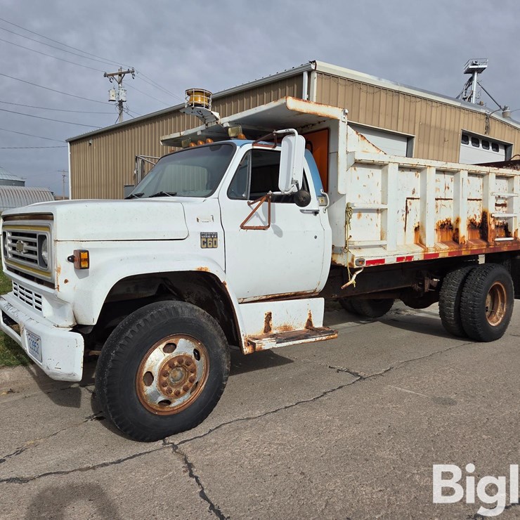 1979 CHEVROLET C60